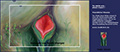 bodhiart-screenshot.png